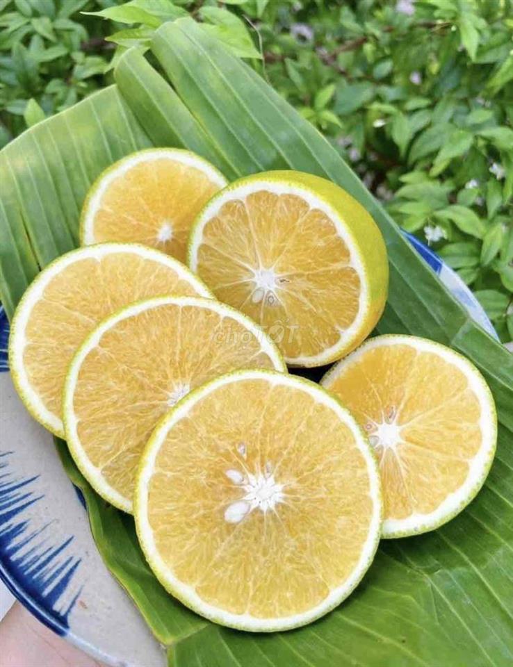 NHÀ XINH, giá bình dân, 1 TRỆT 1 LẦU + LỬNG, 2P. NGỦ 2WC Ok