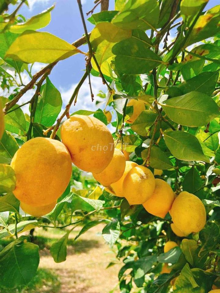 NHÀ RỘNG MỚI, giá bình dân, 1 TRỆT 2 LẦU, SÂN PHƠI, 3P. NGỦ OK 🫰🫰