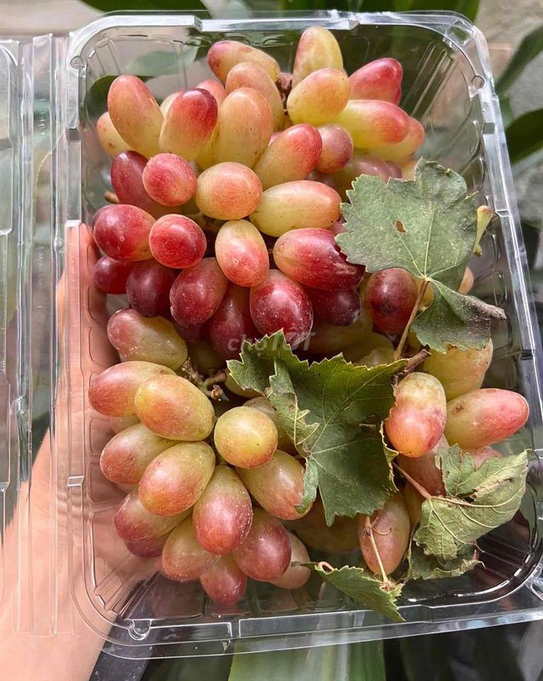 NHÀ ĐẸP XINH, giá bình dân, 1 TRỆT 1 LẦU, 2P. NGỦ + P. Làm việc ở OK