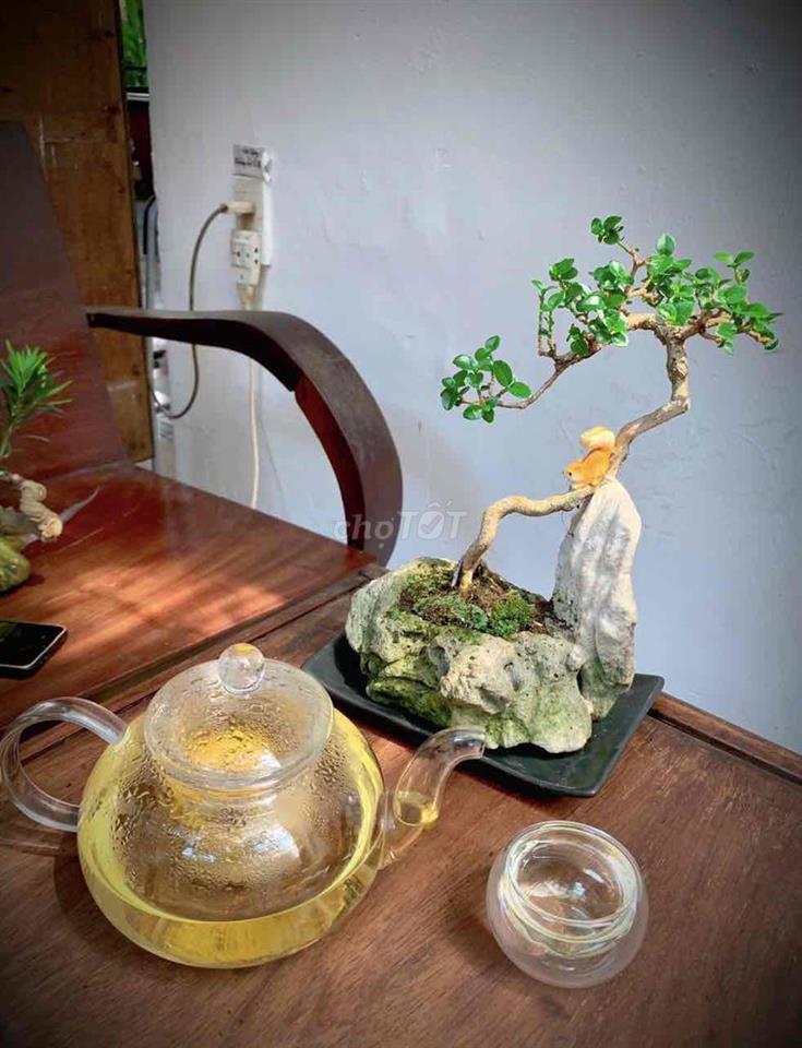 NHÀ RỘNG, giá Bình Dân, 1 TRỆT 1 LẦU, SÂN ĐỂ XE TRỒNG CÂY ở và LV Ok