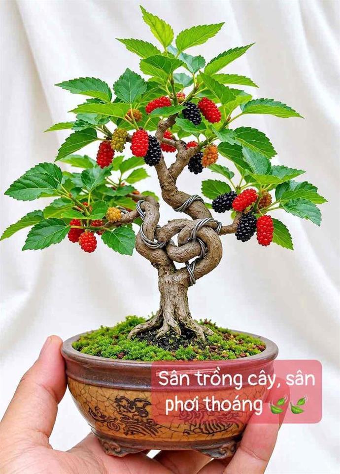 NHÀ MỚI XINH, sân phơi thoáng 🍃🍃, 1 TRỆT, 1 LẦU LỬNG, ở và di làm OK