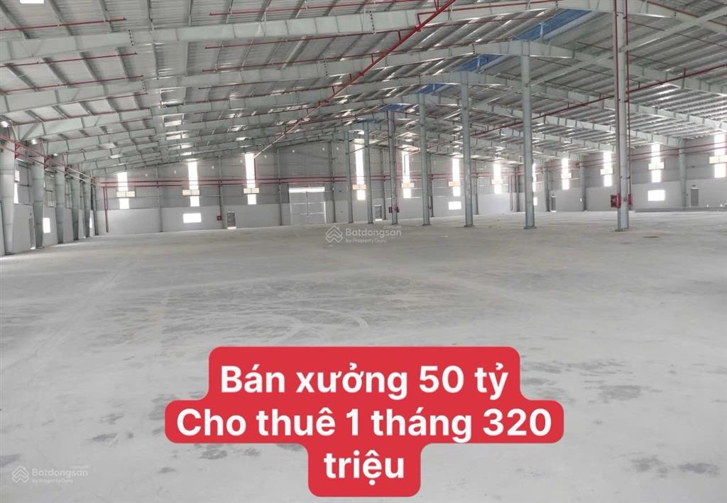 Bán xưởng giá 50 tỷ diện tích 8.272m2 đang cho thuê 1 tháng 320 triệu
