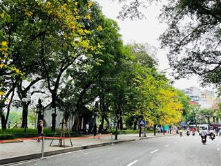 Bán gấp nhà mặt phố lý nam đế dt 82m2, mt 6.2m, vừa kinh doanh dòng tiền vừa ở tuyệt vời. giá tốt