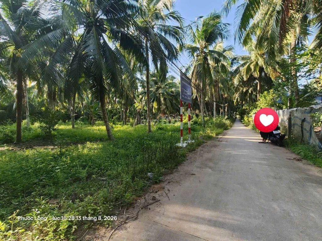 đất gần cầu ba lạc long mỷ giồng trôm bến tre