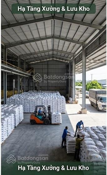 Bán gấp nhà xưởng mặt tiền đường tỉnh 852 & mặt sông sa đéc, trung tâm lúa gạo miền tây