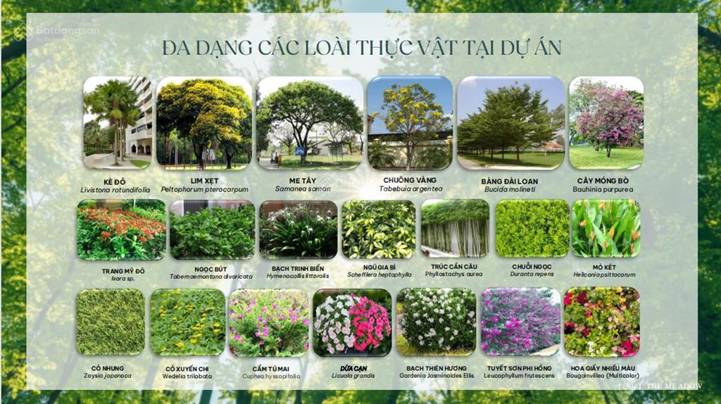 Tin được không? dự án nhà phố the meadow bình chánh chỉ 20% nhận nhà, trả chậm 5% cho 36 tháng