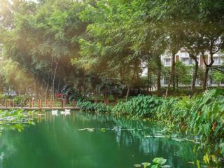 Bán nhanh căn the glen 343.5m2 celadon city đã hoàn thiện nội thất có sẵn hđ thuê 60tr, giá 26 tỷ