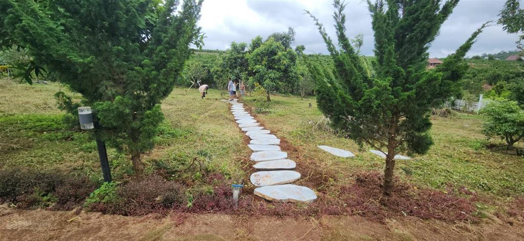 Nhà biệt thự vườn 6.000m2 khu du lịch sinh thái ven đà lạt