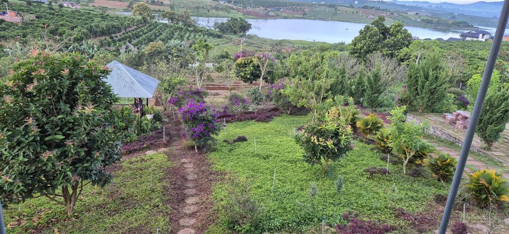 Nhà biệt thự vườn 6.000m2 khu du lịch sinh thái ven đà lạt