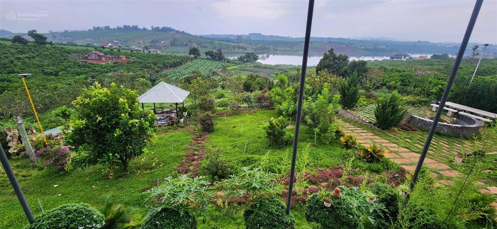 Nhà biệt thự vườn 6.000m2 khu du lịch sinh thái ven đà lạt