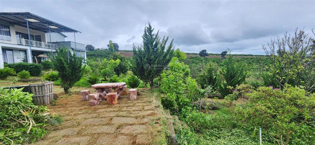 Nhà biệt thự vườn 6.000m2 khu du lịch sinh thái ven đà lạt
