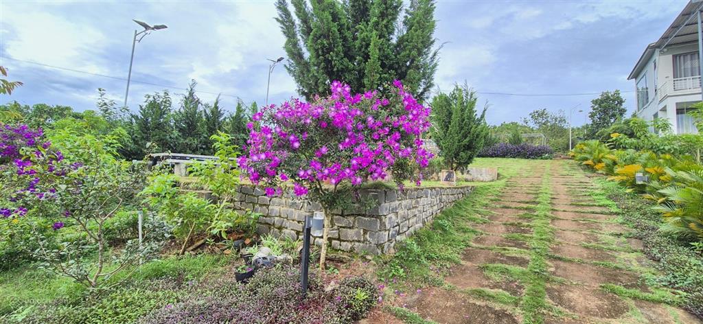 Nhà biệt thự vườn 6.000m2 khu du lịch sinh thái ven đà lạt