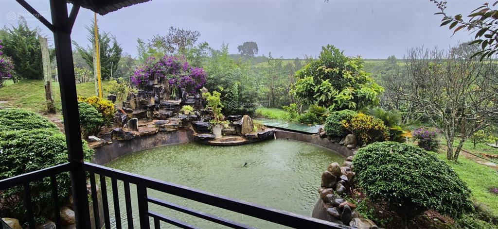 Nhà biệt thự vườn 6.000m2 khu du lịch sinh thái ven đà lạt