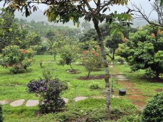 Bán biệt thự vườn nghỉ dưỡng trên đồi, view hồ lớn, ven tp. đà lạt