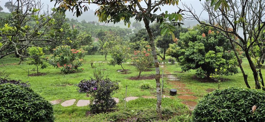 Chính chủ bán nhà vườn 6.000m2, nằm trong khu du lịch sinh thái hồ phúc thọ, lâm đồng