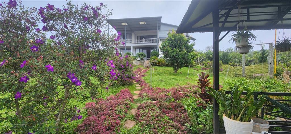 Chính chủ bán nhà vườn 6.000m2, nằm trong khu du lịch sinh thái hồ phúc thọ, lâm đồng