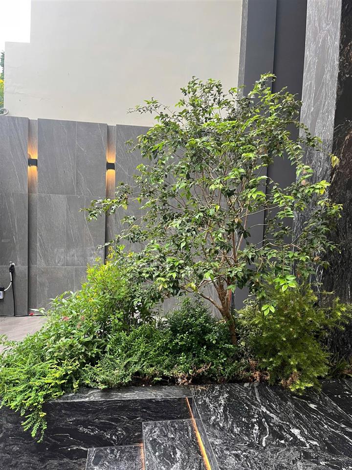 Cho thuê villa khu đường nguyễn văn hưởng, phường thảo điền, quận 2
