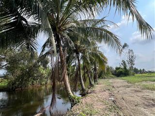 Bán đất 137m2 tại xã tân trạch, cần đước, long an, giá tốt 900 triệu