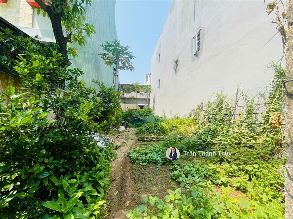 Chủ cần bán  137m2 đất kiệt ô tô 6m đường phan văn định gần mikazuki giá 5,99 tỷ thương lượng