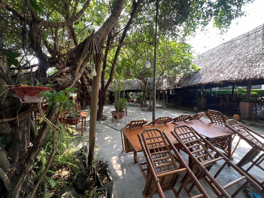 Cho thuê nhà hàng sân vườn mt đường cầu dứa phú nông. dt 2600m². đầy đủ đồ dùng phục vụ 350 khách