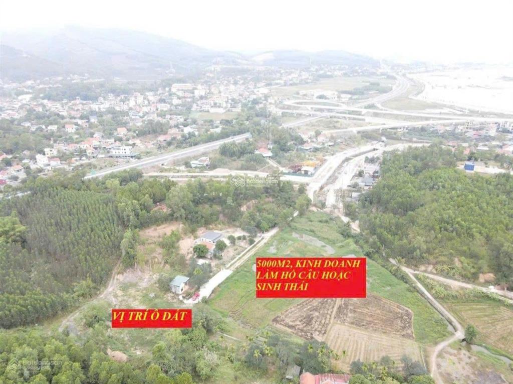 Bán đất làm tổ hợp khu đô thị sinh thái, vui chơi, hồ câu cá tại hạ long, giáp công viên rừng