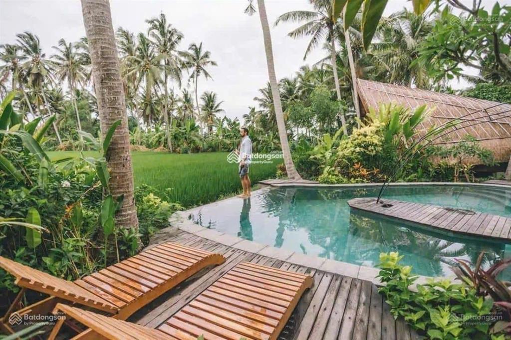 Bán đất làm tổ hợp khu đô thị sinh thái, vui chơi, hồ câu cá tại hạ long, giáp công viên rừng