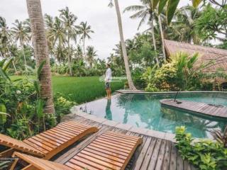 Bán đất làm tổ hợp khu đô thị sinh thái, vui chơi, hồ câu cá tại hạ long, giáp công viên rừng