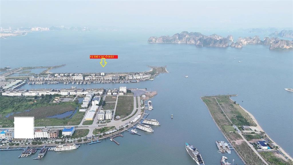 Bán đất biệt thự biển tuần châu, vị trí đẹp nhất trên đảo ngọc