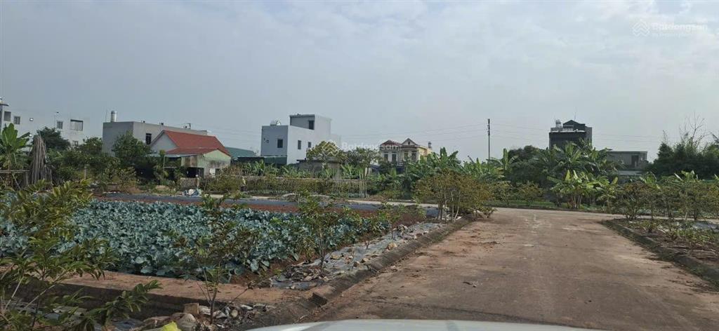 Chủ nhà cần bán lô góc 2 mặt tiền tại phường quảng yên, cửa ngõ đi vào siêu dự án hạ long xanh
