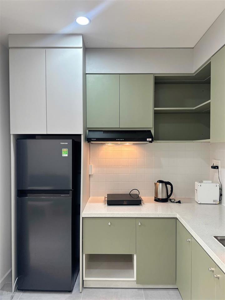 (chủ gửi độc quyền) cho thuê minihouse căn hộ dịch vụ cao cấp nam long 2 central lake  5 triệu