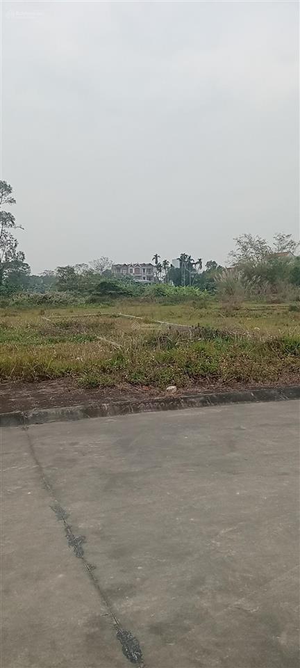 Bán đất đấu giá tại phượng dực, hà nội, 45 triệu/m2, 106m2 khu b olympic, giá đầu tư ngon
