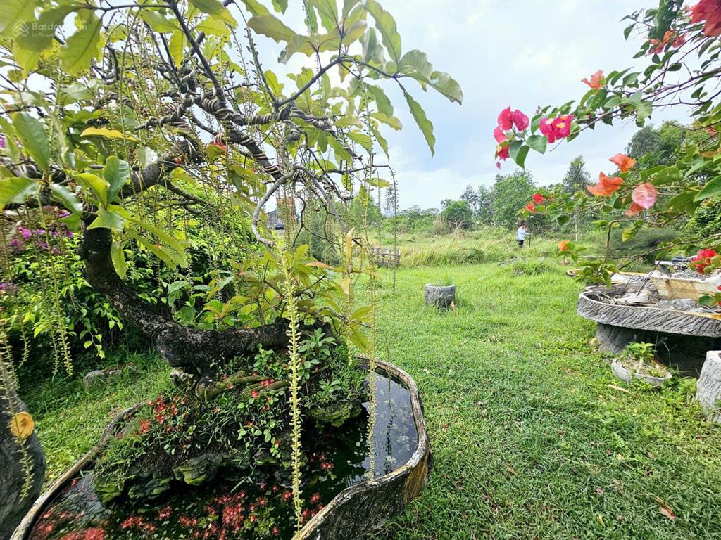 Đất đẹp cổ mã  sát biển  đón sóng sungroup vân phong