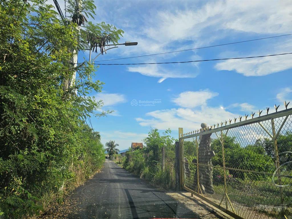 Đất đẹp cổ mã  sát biển  đón sóng sungroup vân phong