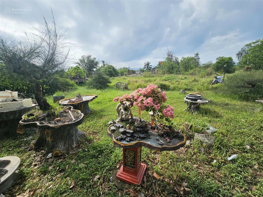 Đất đẹp cổ mã  sát biển  đón sóng sungroup vân phong