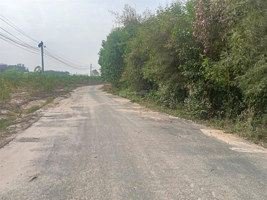 Đất mặt tiền 51c, view hồ ở phước bình cũ, đường nhựa oto đi, shr thổ cư sẵn, giá bao rẻ.