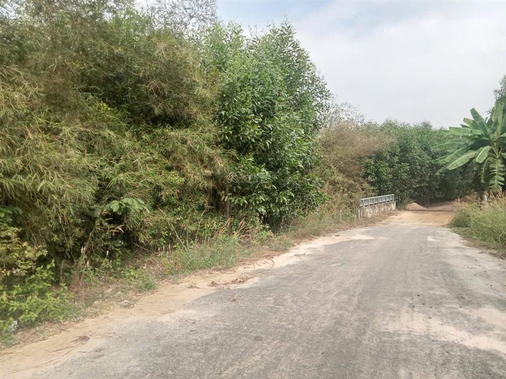 Đất mặt tiền 51c, view hồ ở phước bình cũ, đường nhựa oto đi, shr thổ cư sẵn, giá bao rẻ.