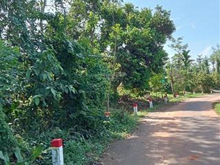 Đất láng lớn, đường nhựa thông, dân cư hiện hữu, shr có sẵn, giá bao dtu.