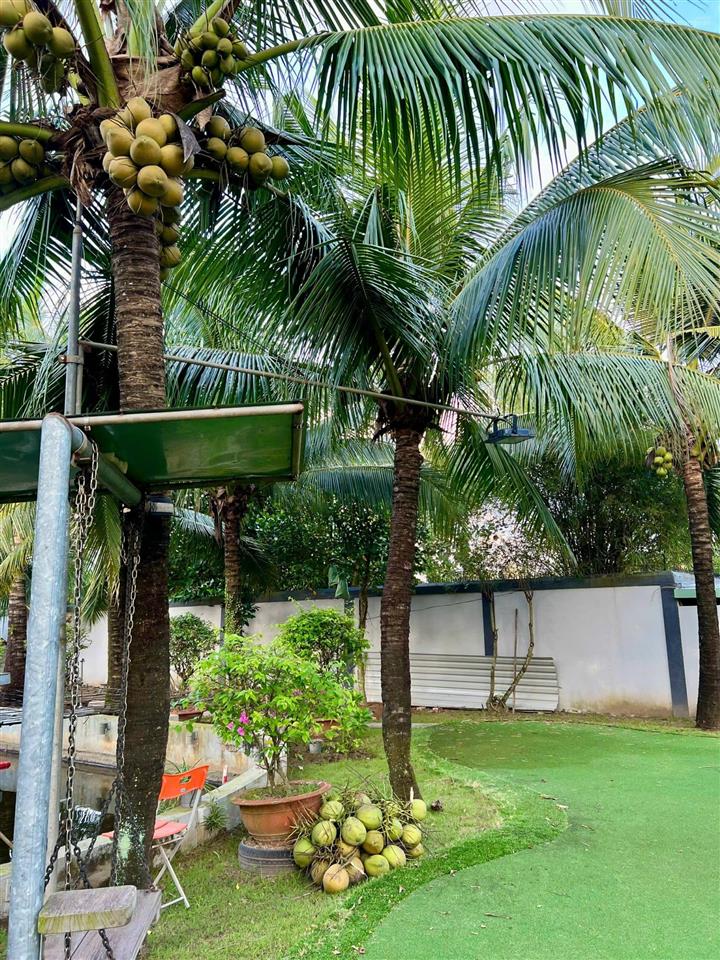 Nhà vườn ở an phước gần thị trấn long thành, đường ôtô né nhau, shr thổ cư sẵn