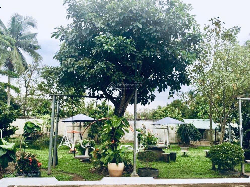 Nhà vườn ở an phước gần thị trấn long thành, đường ôtô né nhau, shr thổ cư sẵn