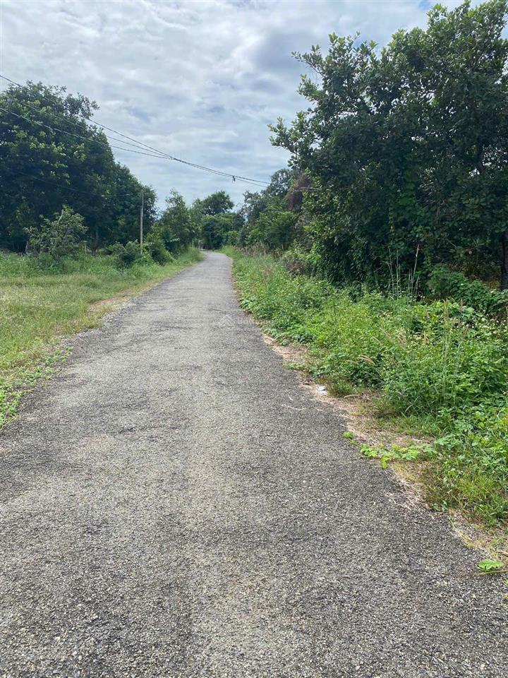 Bán 7600m đất 2mt đường nhựa ở hắc dịch, cách khu công nghệ cao chỉ 500m.