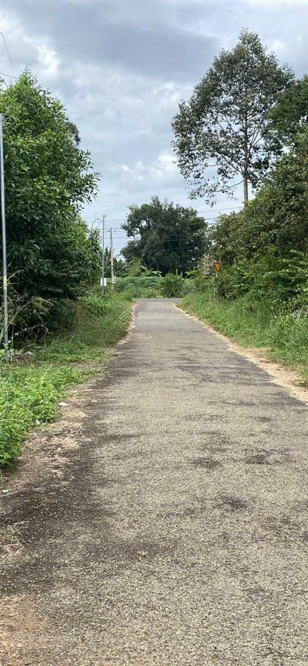 Bán 7600m đất 2mt đường nhựa ở hắc dịch, cách khu công nghệ cao chỉ 500m.