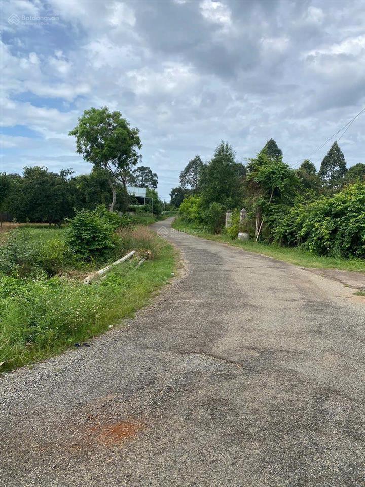Bán 7600m đất 2mt đường nhựa ở hắc dịch, cách khu công nghệ cao chỉ 500m.