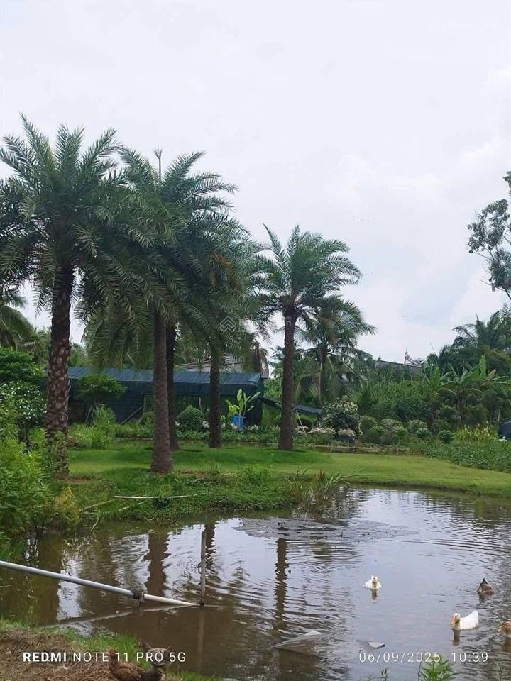 Cho thuê nhà vườn 3000m2 tam đa, q.9