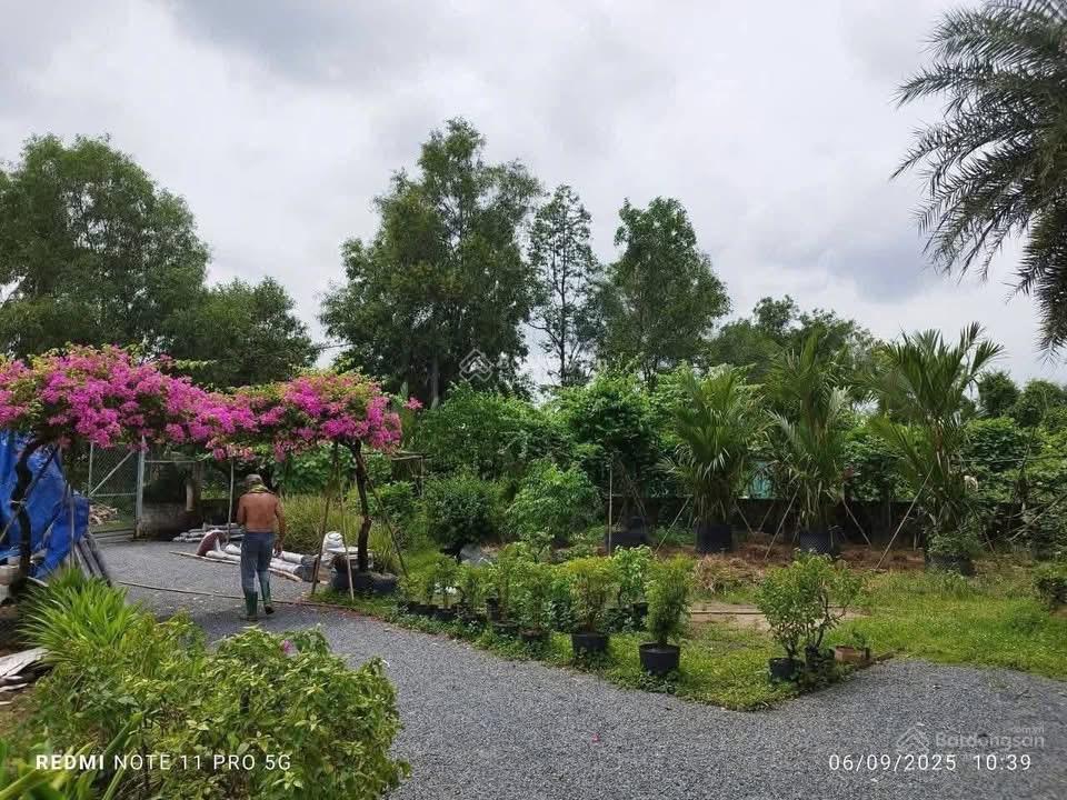 Cho thuê nhà vườn 3000m2 tam đa, q.9