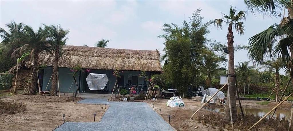 Cho thuê nhà vườn 3000m2 tam đa, q.9