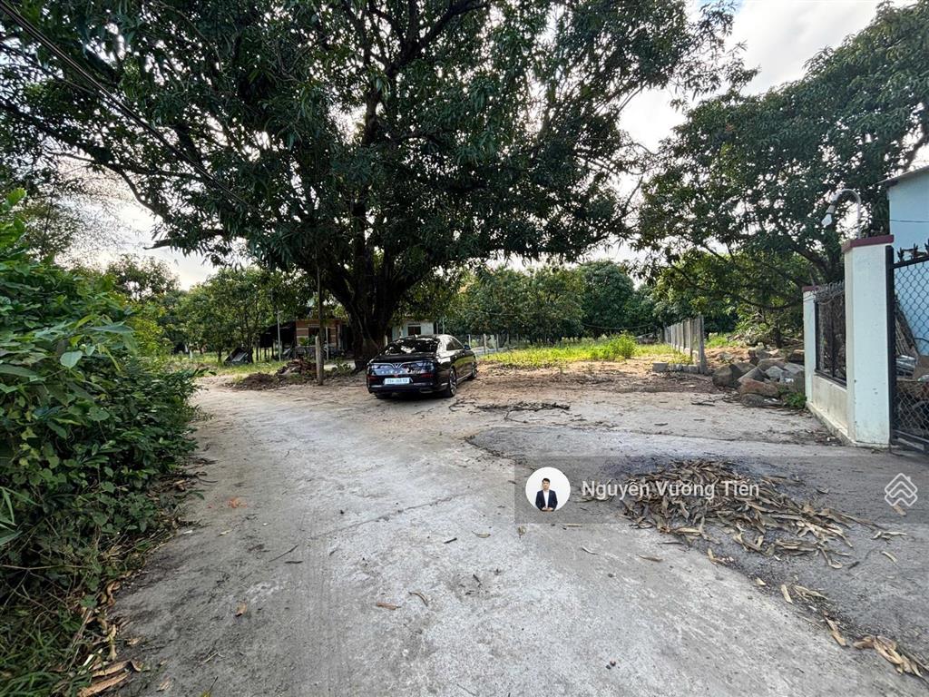 Hàng hiếm cam lâm 480m² full thổ cư, ngang 12m, sát vinhomes giá chỉ 6tr/m2 thổ cư 100%