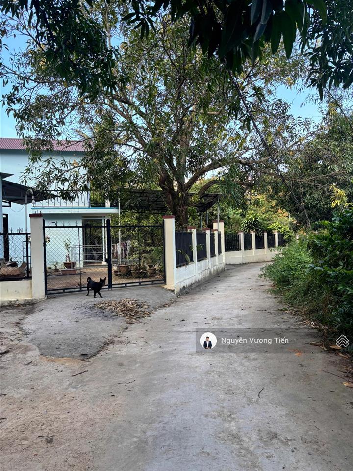 Hàng hiếm cam lâm 480m² full thổ cư, ngang 12m, sát vinhomes giá chỉ 6tr/m2 thổ cư 100%