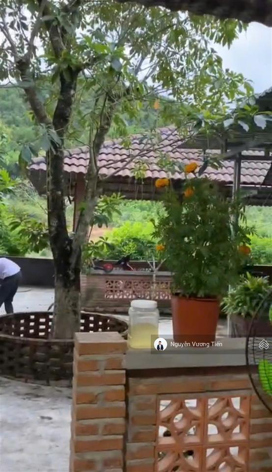 22.809m2 đất rừng sản xuất có nhà vườn đối diện kcn trảng é giá chỉ 4,5 tỷ