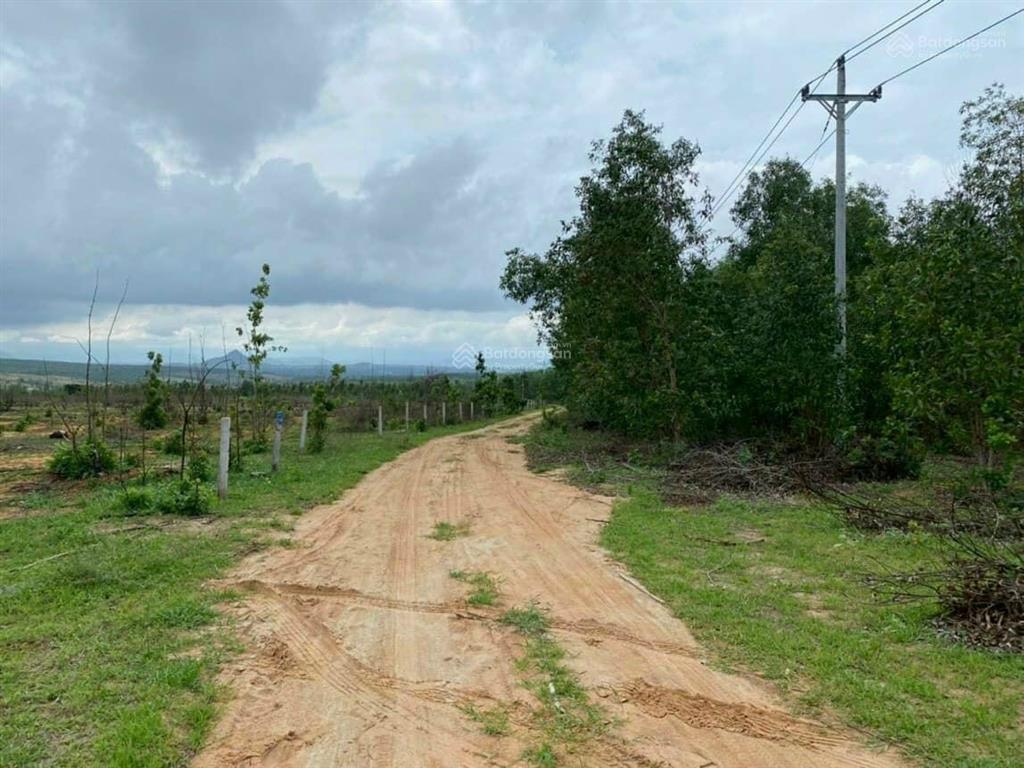 Bán nhanh 4800m2 đất hoà thắng ngay trục đường đt 716 xuống biển, sổ hồng riêng