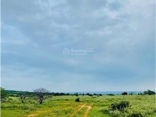 Chính chủ bán 2900m2 đất cây lâu năm view biển giá 450tr  sổ sẵn, công chứng ngay